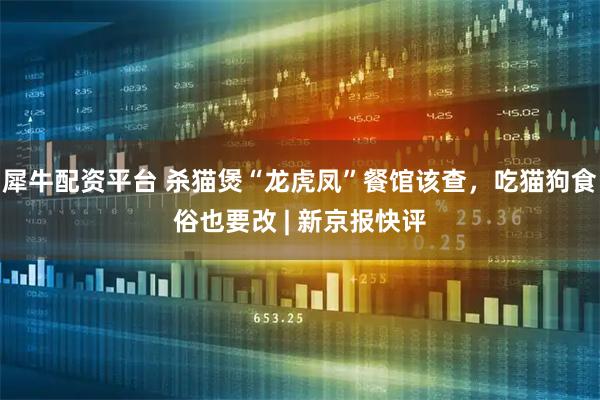 犀牛配资平台 杀猫煲“龙虎凤”餐馆该查，吃猫狗食俗也要改 | 新京报快评