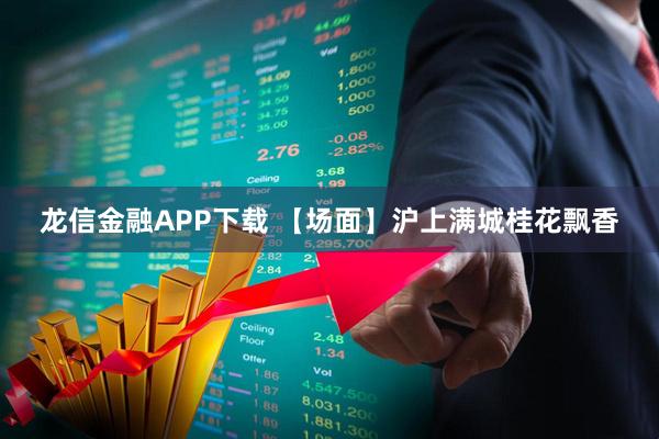 龙信金融APP下载 【场面】沪上满城桂花飘香